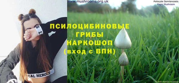 a pvp Арсеньев